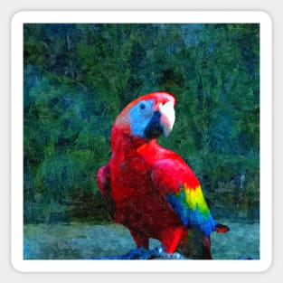 Red Macaw Parrot Tropical Bird Painting Sticker